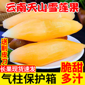 现挖新鲜云南天山雪莲果黄心雪连果应当季 水果整箱