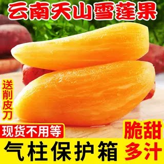 现挖云南天山雪莲果新鲜当季