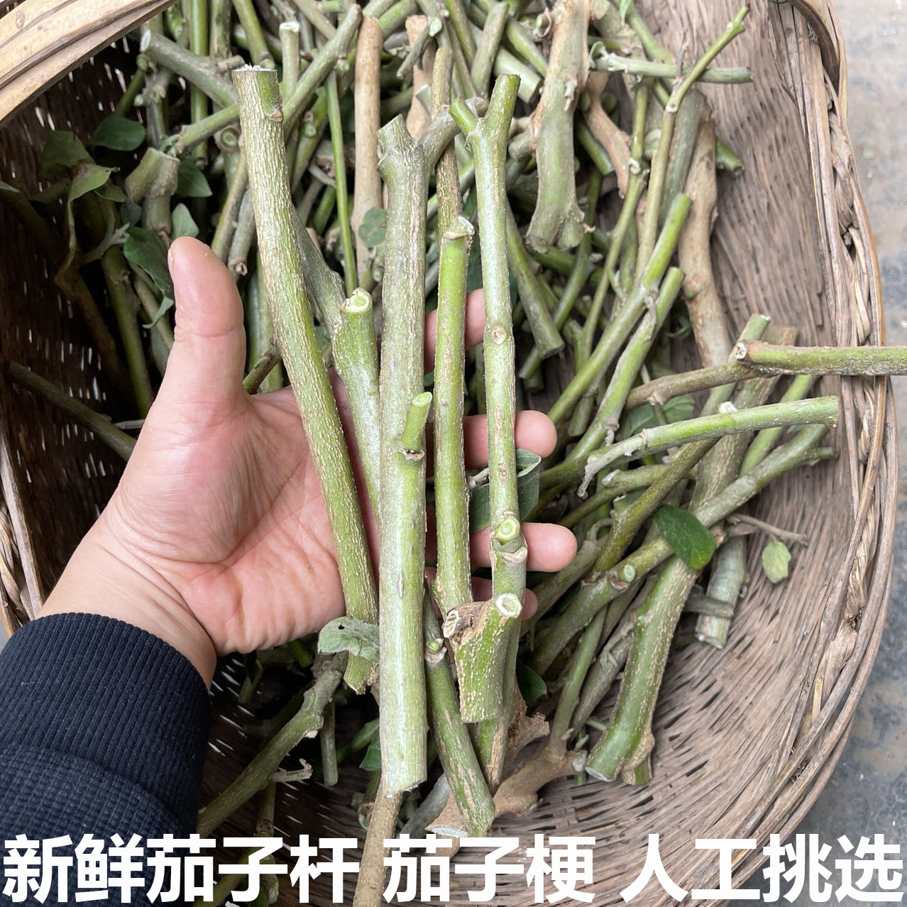 新鲜茄子杆茄子杆皮茄柴卤茄子柴茄子树皮茄子秧现摘茄子干茄子梗
