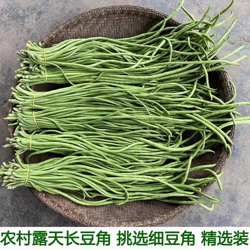 嫩姜原材料农家自种包邮新鲜豇豆