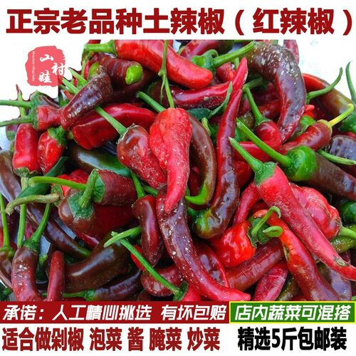 新鲜土辣椒红辣椒红土辣椒