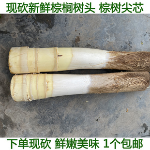 现砍新鲜甜棕树心棕树尖棕榈芯棕树头棕榈心棕榈树树心1个包邮