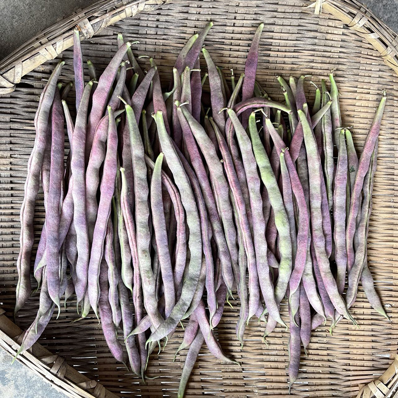 农家肥自种新鲜蔬菜冻死包邮芸豆