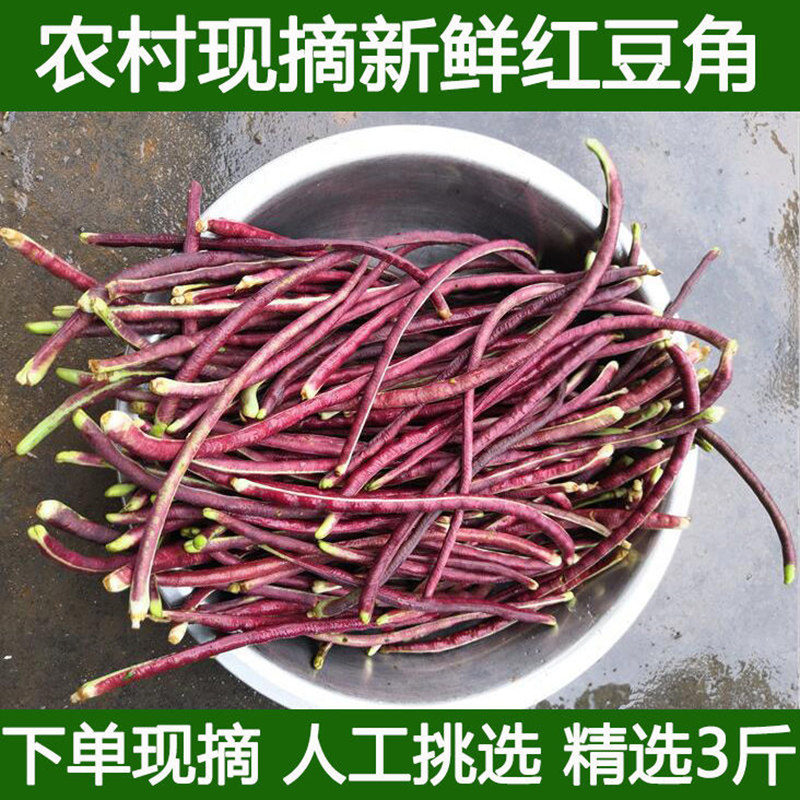 高山农家老品种红豆角紫豆角豇豆
