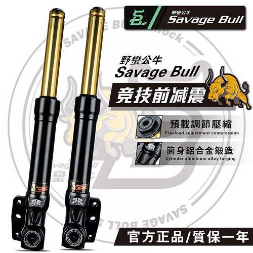 SR野蛮公牛33芯前减震火凤凰JET弯道情人DRG劲战曼巴nmax155避震