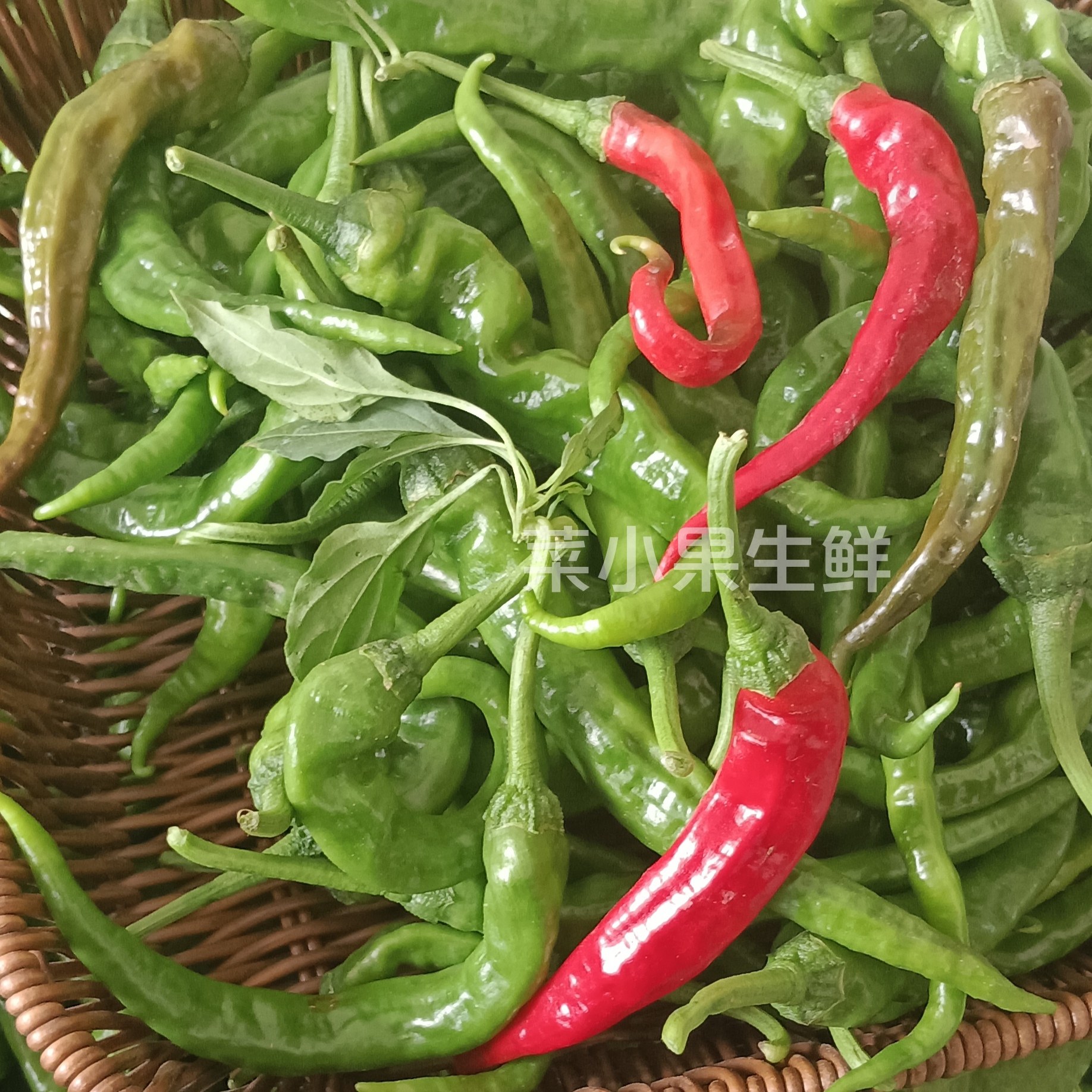 新鲜现摘勾椒邳州本地薄皮辣椒土辣椒农家小尖椒小米椒螺丝椒徐州
