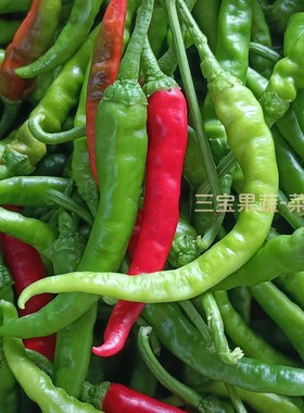 邳州新鲜土辣椒薄皮勾椒农家小青椒朝天椒小米椒本地螺丝椒小尖椒