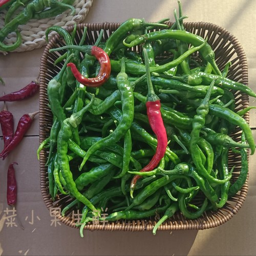 2025邳州徐州新鲜土辣椒薄皮勾椒农家小青椒朝天椒本地螺丝椒尖椒