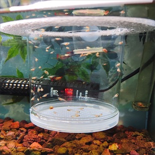 新款悬浮繁殖隔离盒红绿灯斗鱼隔离孵化罐密网幼鱼母鱼躲避屋产房