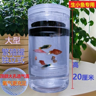 新款20厘米高大型孔雀鱼繁殖隔离盒独立小鱼缸幼鱼母鱼孵化网产房