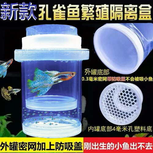 新款悬浮隔离盒密网孔雀鱼繁殖罐