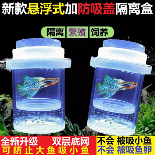 悬浮孵化隔离盒密网孔雀鱼繁殖罐
