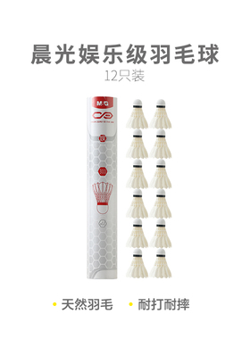 晨光体育娱乐级羽毛球(12只装)AST09311 室外室内运动飞舞飞羽球