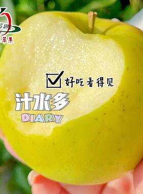 脆甜当季高端水果新品清香纯甜黄绿苹果甘肃庆阳正宗蜜甜瑞雪苹果
