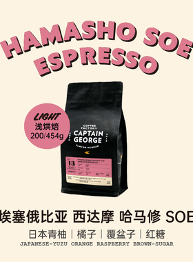 乔治队长 埃塞俄比亚SOE西达摩意式咖啡豆日晒处理单品黑咖啡豆粉