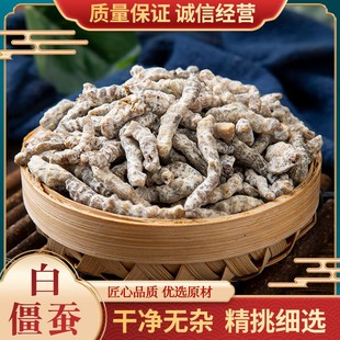 白僵蚕中药材店铺炒僵蚕粉中药材熟僵蚕 炙僵蚕天虫天蚕白僵蚕