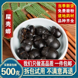 屎壳螂中药材店铺壳郎精选清水大将军蜣螂虫推粪虫黑兜虫中草药