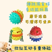 PetWoo精选弹弹球发声磨牙洁齿清洁拉扯互动漏食金毛柯基狗狗玩具