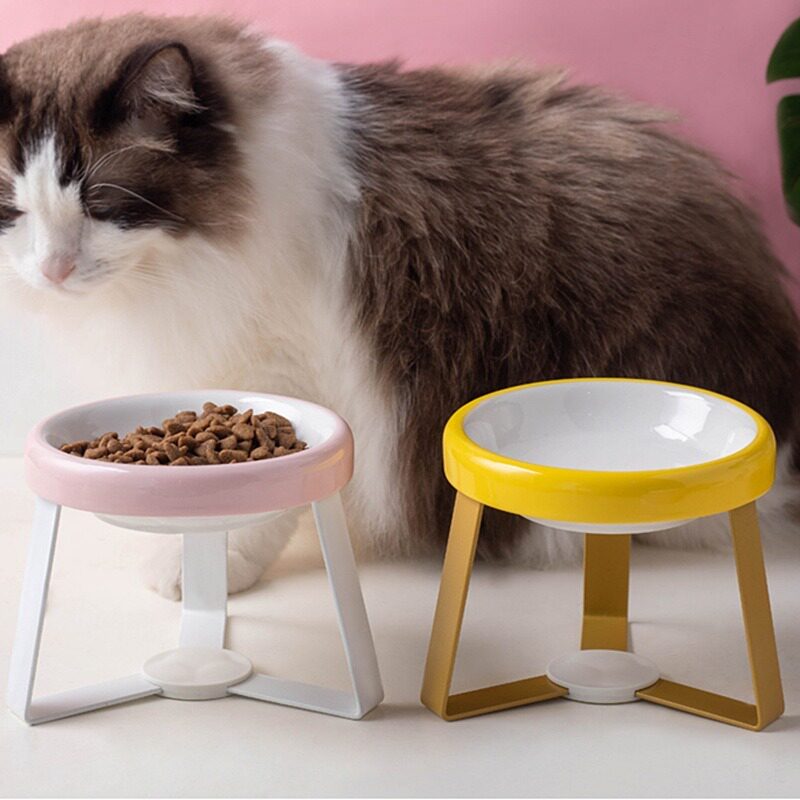 日本pecolo平替狗盆陶瓷猫碗防打翻宠物碗高脚护颈猫粮碗斜口水碗