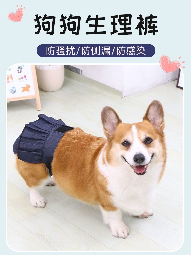 宠物狗狗生理裤母狗姨妈裤卫生巾柯基泰迪柴犬安全裤姨妈巾月经裤