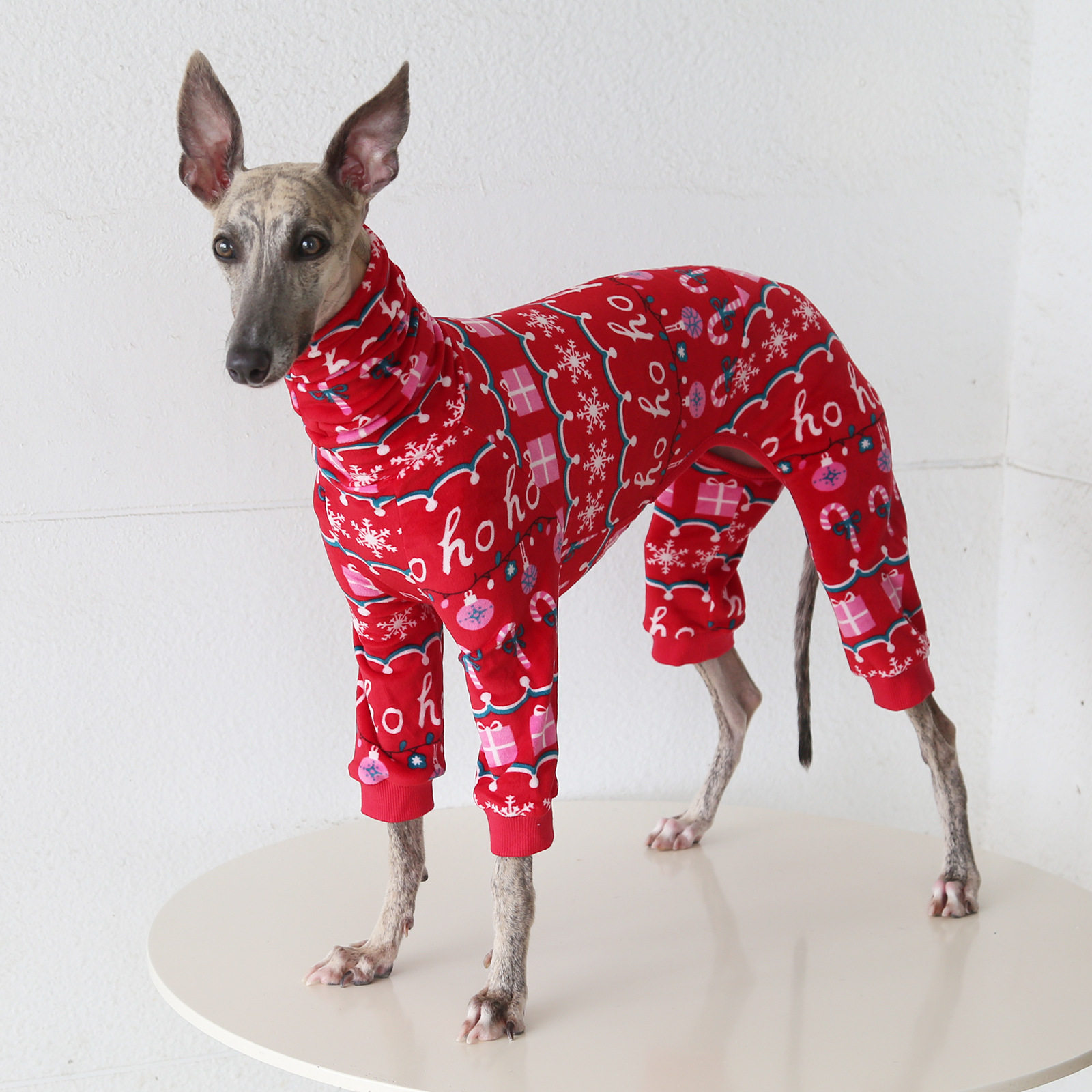 Petstyle小灵缇家居服超柔睡衣意大利惠比特柔软秋冬宠物衣服保暖