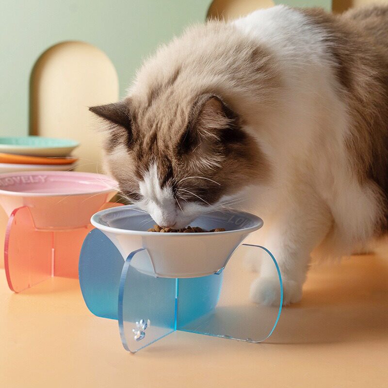 酷彩猫碗陶瓷宠物碗狗碗防打翻狗猫咪餐盘猫盘子喝水碗碗架狗食盆