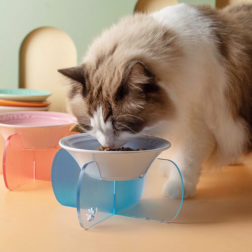酷彩猫碗陶瓷宠物碗狗碗防打翻狗猫咪餐盘猫盘子喝水碗碗架狗食盆