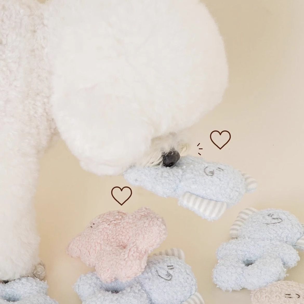 狗狗玩具陪伴ins新款韩版宠物玩具啃咬发声泰迪毛绒响纸猫咪玩具