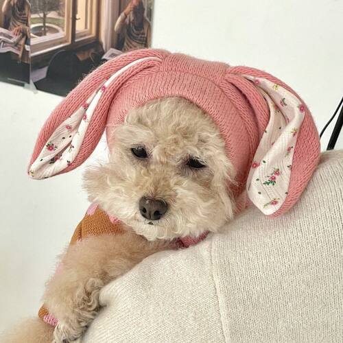 ins新款宠物帽子可爱兔耳朵针织比熊小狗狗装饰秋冬猫猫头套保暖