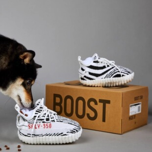 Ins新款韩国狗狗鞋子玩具发声藏食耐咬猫猫泰迪法斗宠物嗅闻解闷