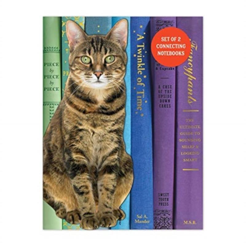 预订，预计下单后3-6周左右发货！