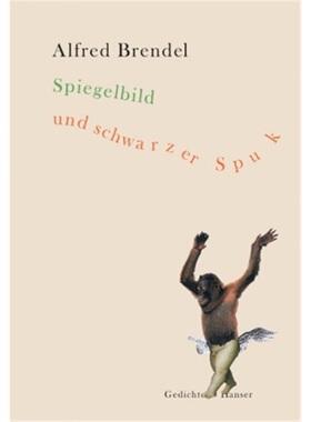 预订【德语】Spiegelbild und schwarzer Spuk[9783446203495]