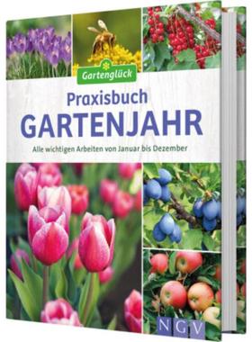 预订【德语】 Praxisbuch Gartenjahr:Alle wichtigen Arbeiten von Januar bis Dezember