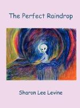 按需印刷不退不换The Perfect Raindrop[9780578007373]