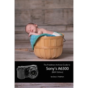 Archives Guide A6300 The Friedman Sony 按需印刷不退不换