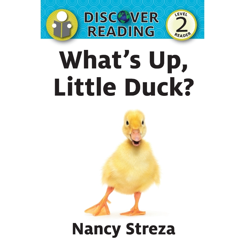 预订，预计下单后2-3周左右发货！