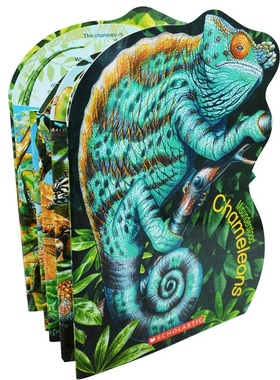 Misunderstood:Chameleons