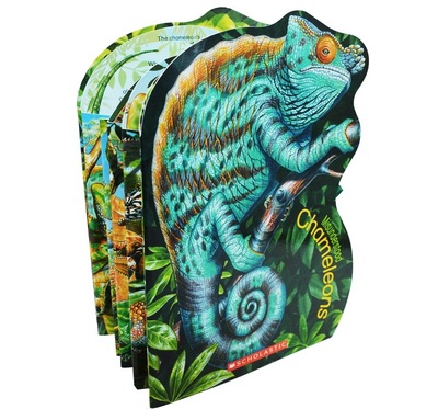 活动价  现货 Misunderstood:Chameleons