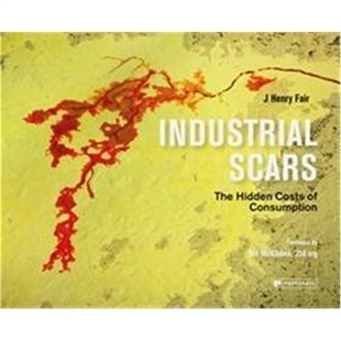 預訂Industrial Consumption Cost Hidden Scars The