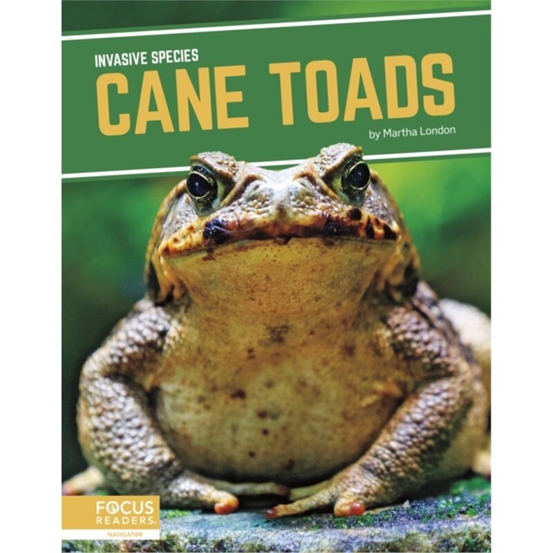 预订不退不换Cane Toads[9781644939017]