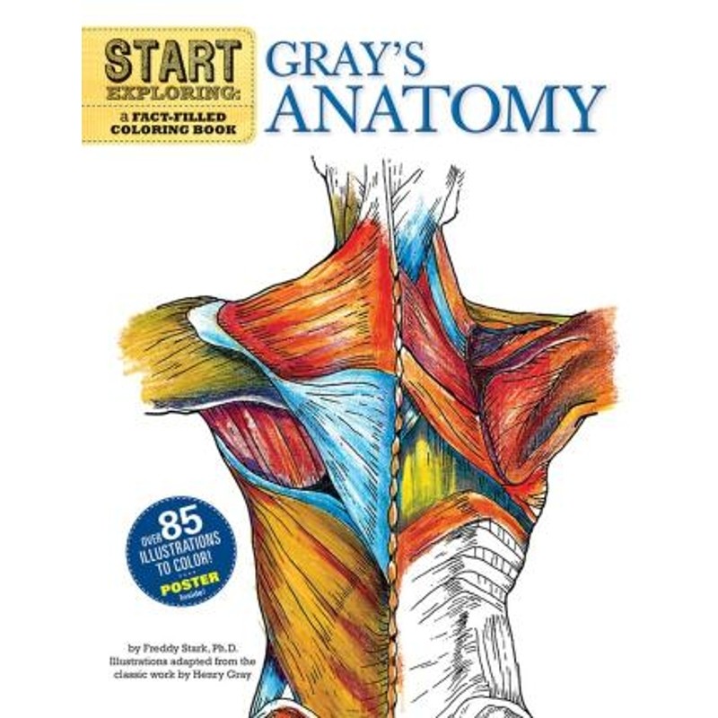 预订start exploring: grays anatomy:a fact-filled coloring book