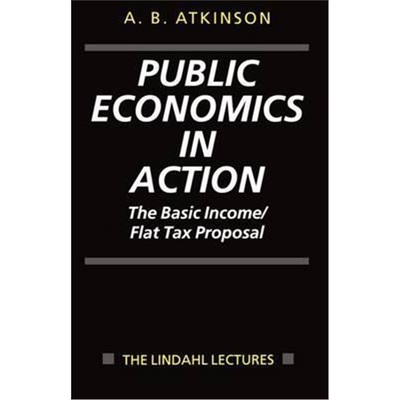 按需印刷Public Economics in Action:The Basic Income/Flat Tax Proposal[9780198292166]