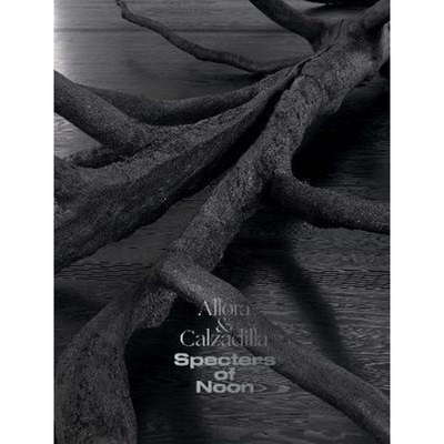 进口艺术 Allora & Calzadilla Specters of Noon