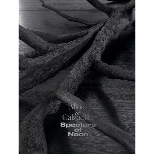 进口艺术 Allora & Calzadilla Specters of Noon