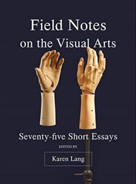 预订不退不换Field Notes on the Visual Arts:Seventy-Five Short Essays