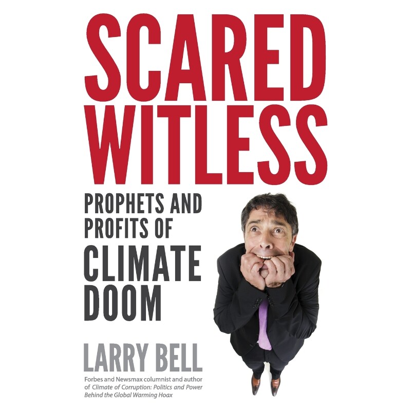 按需印刷不退不换Scared Witless[9781941071212]