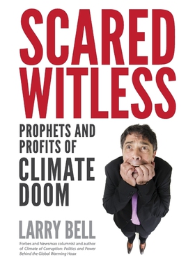 按需印刷不退不换Scared Witless[9781941071212]