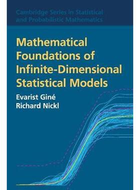 按需印刷不退不换Mathematical Foundations of Infinite-Dimensional Statistical Models[9781107043169]