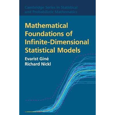 按需印刷不退不换Mathematical Foundations of Infinite-Dimensional Statistical Models[9781107043169]