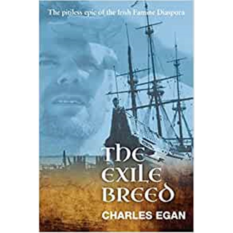 预订，预计下单后2-3周左右发货！